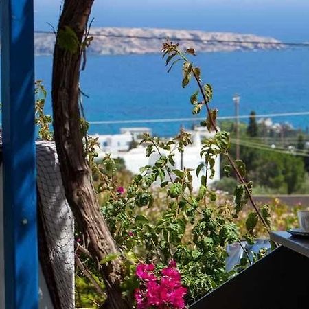 Aloe Paros Suites And Studios Drios Exterior photo