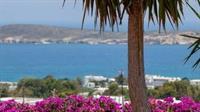Aloe Paros Suites And Studios Drios Exterior photo